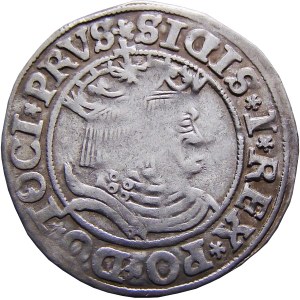 Sigismund I. der Alte, preußischer Pfennig 1531, Toruń