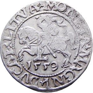 Sigismund II Augustus, half-penny 1559, Vilnius