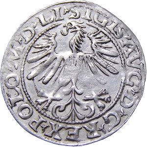 Zygmunt II August, półgrosz 1563, Wilno, PIĘKNY