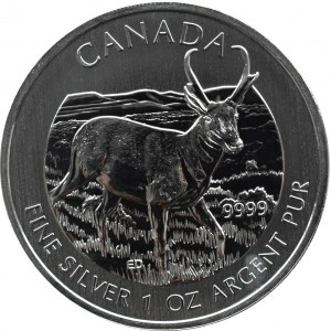 Kanada, Widłoróg, 5 dolarów 2013, Ottawa, UNC