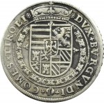 Austria, arcyks. Ferdynand (1564-1595), talar bez daty, Hall