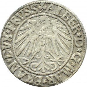 Prusy Książęce, Albrecht, grosz pruski 1543, Królewiec