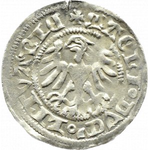Alexander Jagiellon, Lithuanian half-penny, Vilnius, minted (Gothic)