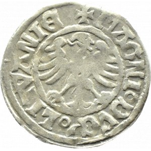Alexander Jagiellon, Lithuanian half-penny, Vilnius (Renaissance)