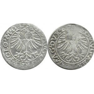 Sigismund II Augustus, flight of half-pennies 1563-1565, Vilnius, vintage 1563 without cross beams