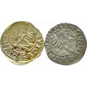 Silesia, Swidnica, Ludwig, flight of half-pennies 1520-1525, Swidnica