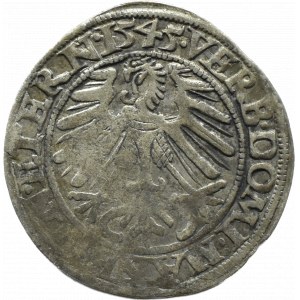 Schlesien, Fürst von Legnicko-Brzesko-Wołowskie, Friedrich II. Legnicki, Pfennig 1545, Legnica