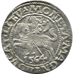 Sigismund II Augustus, half-penny 1564 TOPOR, Vilnius, LITV/L