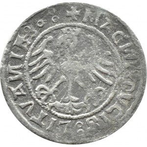 Sigismund I. der Alte, halber Pfennig 1520, Vilnius