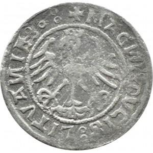 Sigismund I the Old, half-penny 1520, Vilnius