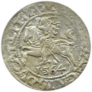 Zygmunt II August, półgrosz 1564, Wilno