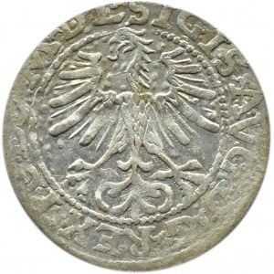 Sigismund II Augustus, half-penny 1564, Vilnius