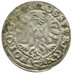 Sigismund III. Wasa, Pfennig 1606, Krakau, Wappen Lewart im Oval