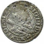 Sigismund III Vasa, penny 1606, Cracow, Lewart coat of arms in an oval