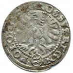 Sigismund III. Wasa, Pfennig 1606, Krakau, Wappen Lewart im Oval