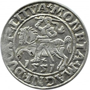 Sigismund II Augustus, half-penny 1551, Vilnius