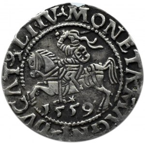 Sigismund II Augustus, half-penny 1559, Vilnius, LITV/L, RARE VARIETY