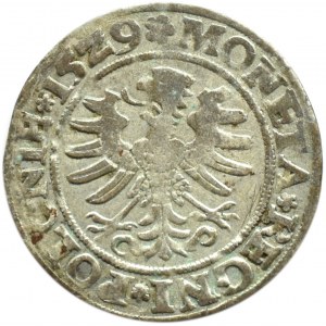 Sigismund I. der Alte, Pfennig 1529, Krakau