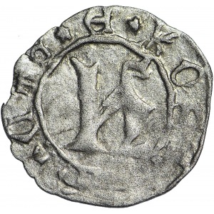 R-, Księstwo Kozielskie, Konrad VII Biały 1416-1452, Halerz po 1439, R6