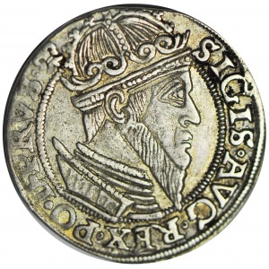 R-, Zygmunt II August, Trojak 1557, Gdańsk, Iger R4