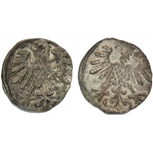 Zygmunt II August, zestaw dwóch denarów litewskich