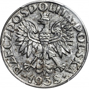 50 groszy 1938 NIENIKLOWANE, RZADKIE, mennicze