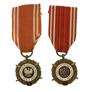 Medal Siły Zbrojne w Służbie Ojczyzny, Brązowy (V), dwie odmiany