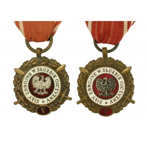 Medal Siły Zbrojne w Służbie Ojczyzny, Brązowy (V), dwie odmiany
