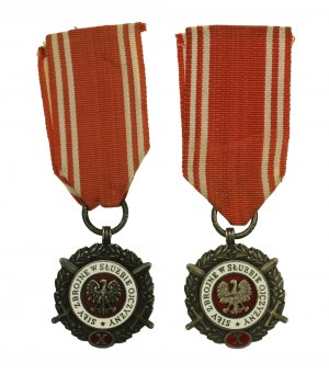 Medal Siły Zbrojne w Służbie Ojczyzny, srebrny (X), dwie odmiany.