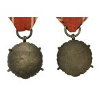 Medal Siły Zbrojne w Służbie Ojczyzny, srebrny (X), dwie odmiany.