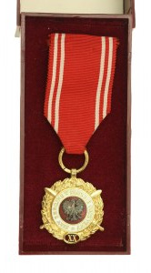 Medal Siły Zbrojne w Służbie Ojczyzny, złoty (XX).