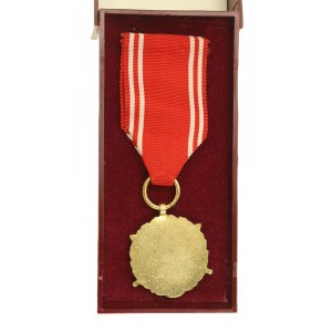 Medal Siły Zbrojne w Służbie Ojczyzny, złoty (XX).
