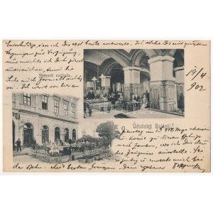 1902 Baja, Nemzeti szálloda és kávéház, belső, terasz, biliárdasztalok