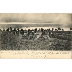 Balaton Vidéke, Praxi munka. D.K.F.E. 906.