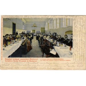 1909 Budakeszi, Erzsébet királyné szanatórium, belső, betegek étkezése a közös ebédlőben. Erdélyi cs. és kir. fényk. + ...