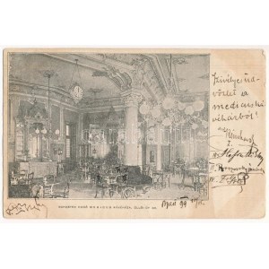 1899 (Vorläufer) Budapest VIII. Schuster Hugó Medicus kávéháza, belső. Üllői út 30. (EB)