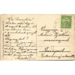 1909 Budapest XVII. Rákoscsaba, Gróf Vigyázó féle Ősi Halastó. Theodorovits Vladán kiadása (EK...