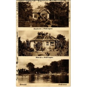 1934 Dömsöd, Zsuzsa- és Mike-lak a Petőfi szigeten, Petőfi strand (ázott / wet damage)