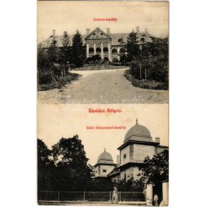 1905 Sály, Gorove és Báró Heccendorf kastély