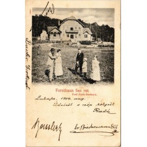 1904 Sasrétpuszta (Almamellék), Sas rét erdész lak (Ibafa-Baránya) / Forsthaus