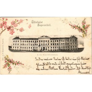 1898 (Vorläufer) Sopron, M. kir. Honvédfőreáliskola. L.F. Kummert 2486. floral, litho (EK)