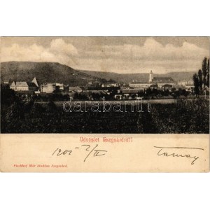 1901 Szekszárd, zsinagóga. Fischhof Mór kiadása (Rb)
