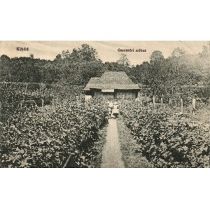 1918 Kibéd, Chibed; Gazdaköri méhes, méhészet / apiary, beekeeping farm (EK)