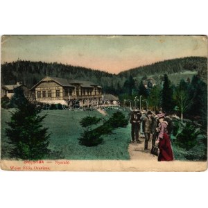 1907 Stájerlak, Steierdorf, Kirscha; nyaraló. Weisz Félix kiadása / villa (EK)