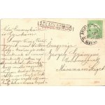 1910 Szilágysomlyó, Simleu Silvaniei; Római katolikus főgimnázium, Vass Antal üzlete. W.L. (?...