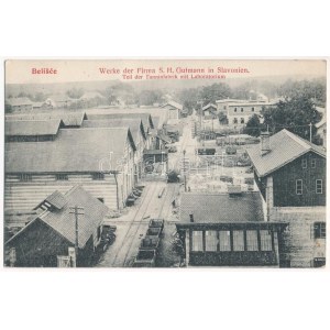 Belistye, Belisce; Werke der Firma S.H. Gutmann in Slavonien, Teil der Tanninfabrik mit Laboratorium ...