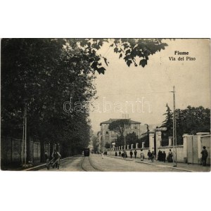 1906 Fiume, Rijeka; Via del Pino / street, tram / utca villamossal (EK)