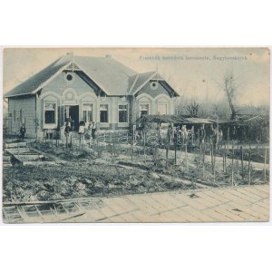 Nagybecskerek, Zrenjanin, Veliki Beckerek; Praschák testvérek kertészete. photograph Oldal István 1906. / horticulture ...