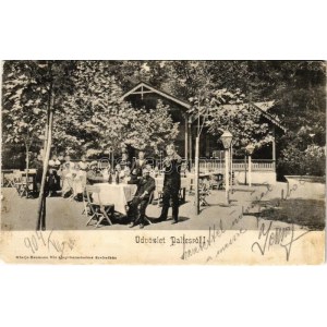 1904 Palics, Palic (Szabadka, Subotica); Vendéglő kertje hegedűssel / restaurant garden with violinist (EM...