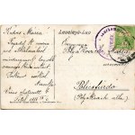 1914 Titel, Központi szálloda. Szuboticski Szimó kiadása / hotel